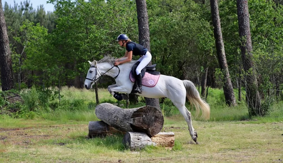 Concours de sauts d’obstacles au Centre équestre Chemin René Bonat Andernos-les-Bains