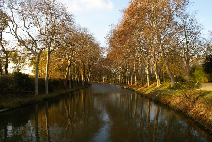 Conférence « Des paysages en héritage. Récits d’arbres en Méditerranée » par Véronique Mure, Salagon, musée et jardins, Mane