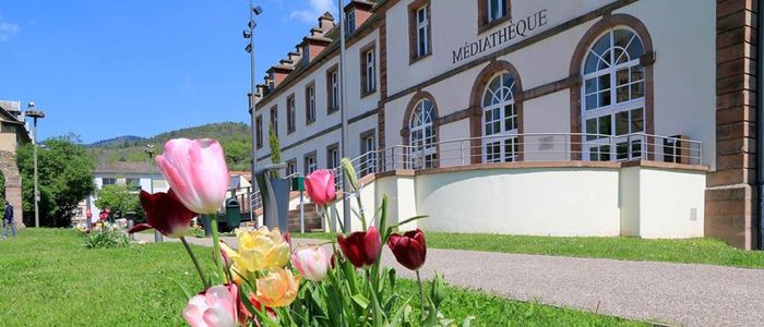 Conférence du Parc naturel régional des Ballons des Vosges, Médiathèque, Munster