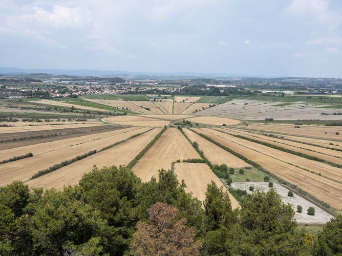 Conférence : la fabuleuse histoire de l’étang de Montady, Oppidum d’Ensérune, Nissan-lez-Enserune