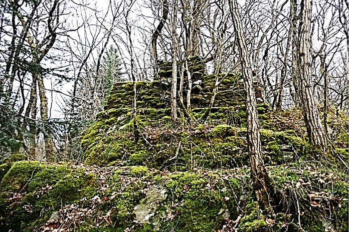 Conférence : le patrimoine, sa destruction, sa valeur, sa pérennisation, Village de Glanges, Glanges