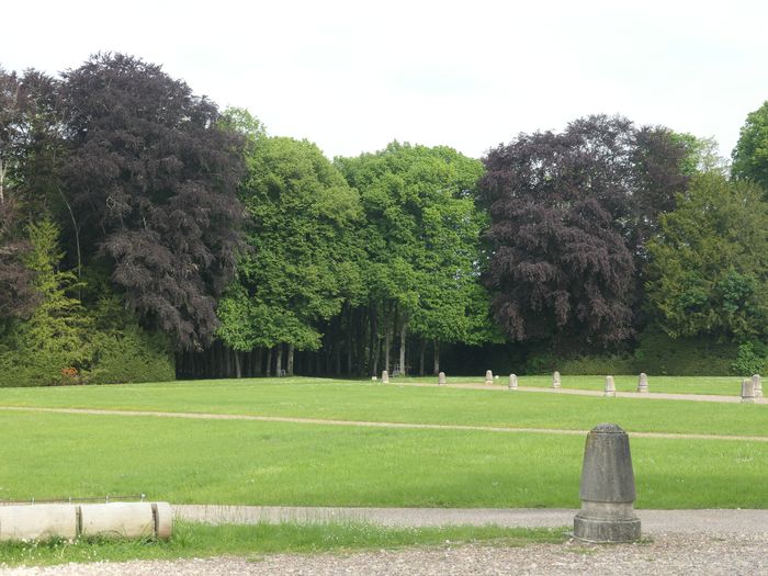 Conférence – Retour sur une découverte archéologique, Château de Ray-sur-Saône, Ray-sur-Saône
