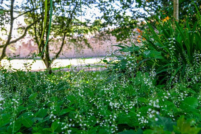 Contes en musique sur le thème des plantes, Jardin des Bénédictines, Landerneau