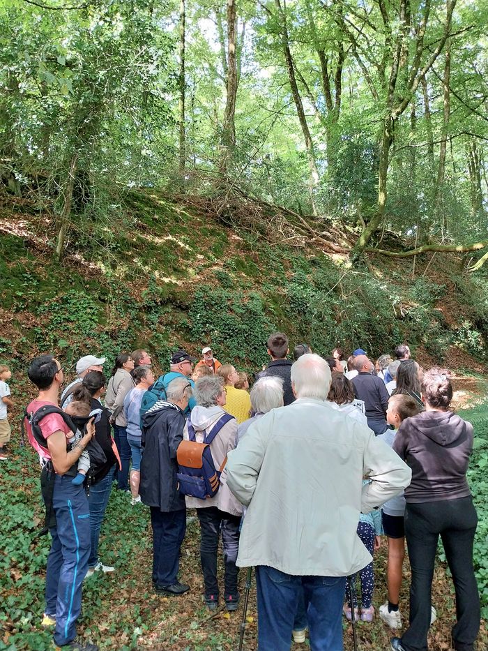 Contes et légendes de la motte à l’étang, Étang de la Forêt – Brandivy, Brandivy