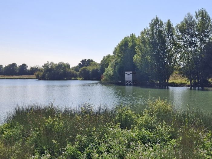 Découverte de la biodiversité au travers d&rsquo;ateliers nature, Réserve naturelle nationale de La Mazière, Lagruère