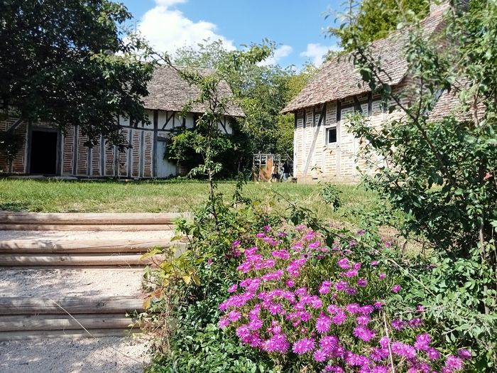 Découverte de l’Etang Rouge et du torchis, Musée de plein air L’Étang rouge, Seurre