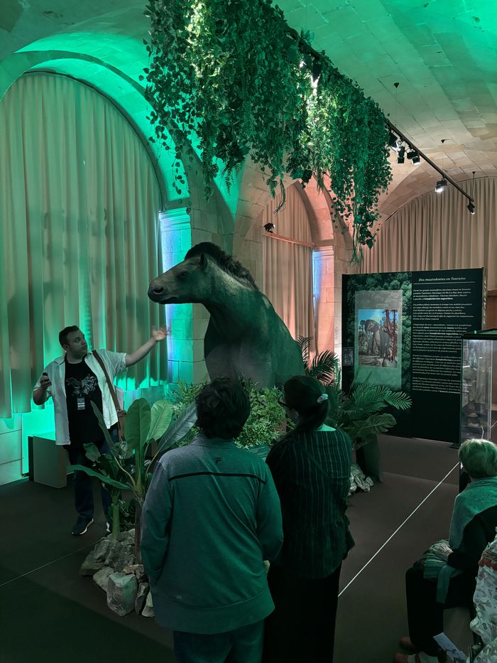 Découverte de l&rsquo;exposition temporaire « La Touraine tropicale », Château du Grand-Pressigny – Musée de la préhistoire, Le Grand-Pressigny