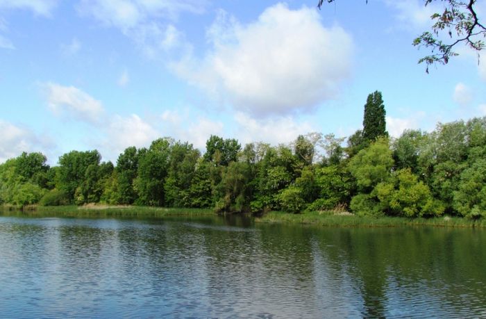 Découverte de l’Observatoire de la Réserve Naturelle Régionale du Bassin de la Bièvre, Observatoire de la Réserve Naturelle Régionale du Bassin de la Bièvre, Antony