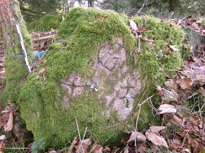 Découverte des bornes frontières minières, Les Hautes-Mynes du Thillot, Le Thillot