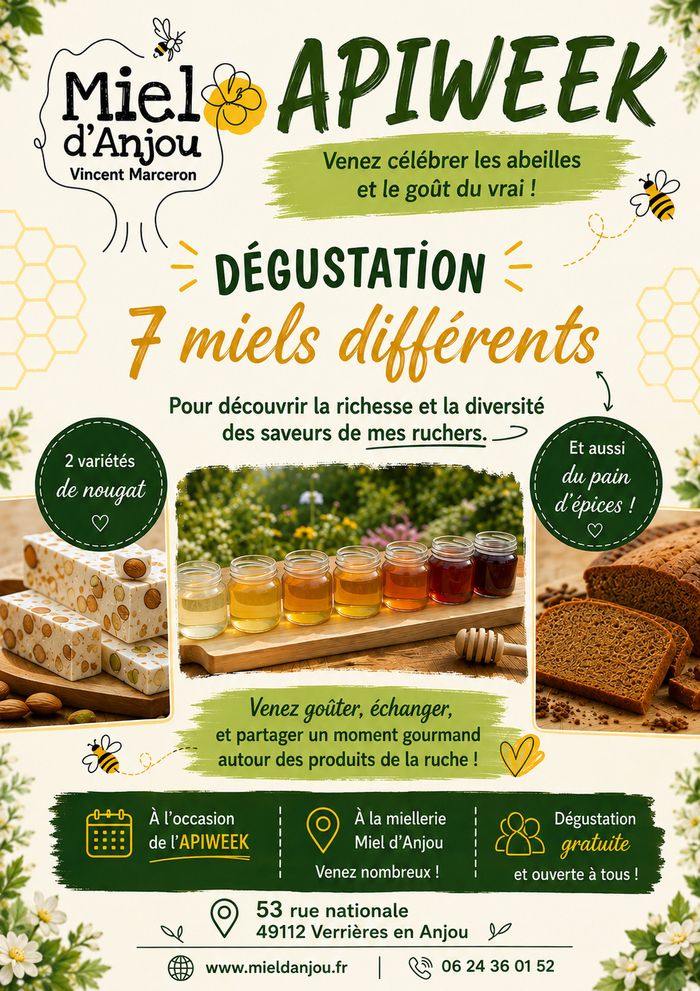 Découverte des miels et gourmandises, Miel d’Anjou,