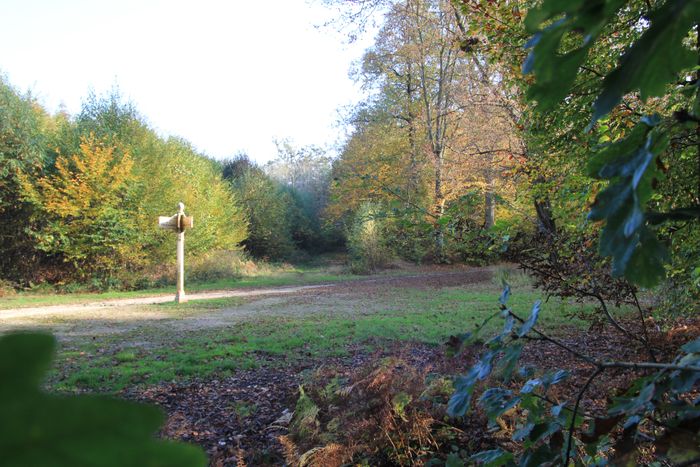 Découverte, en randonnée, de la forêt régionale de Ferrières, de son histoire et de sa gestion, Maison de la Nature, Ferrières-en-Brie