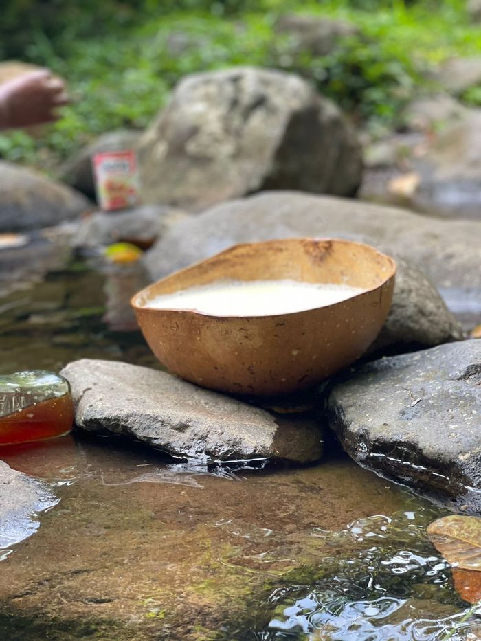 Découvrez le bain de feuillage, Jardin Alexina, Le Gosier
