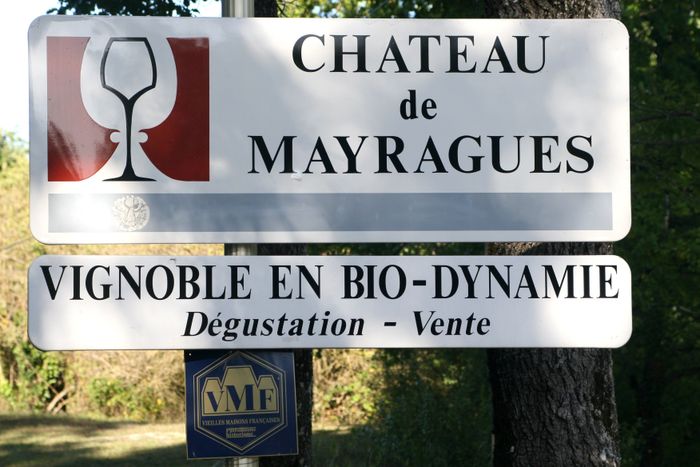 Dégustation des vins du domaine en biodynamie, Château de Mayragues, Cahuzac-sur-Vère