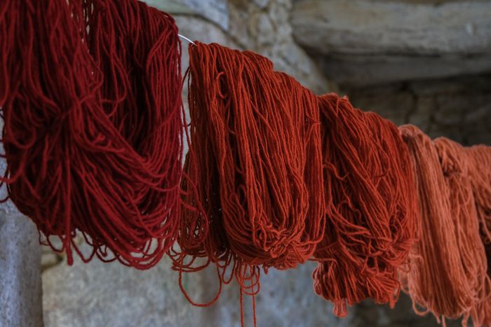 Démonstration de teinture naturelle avec des plantes médiévales, Manoir de Koad Kenan, Grouaneg