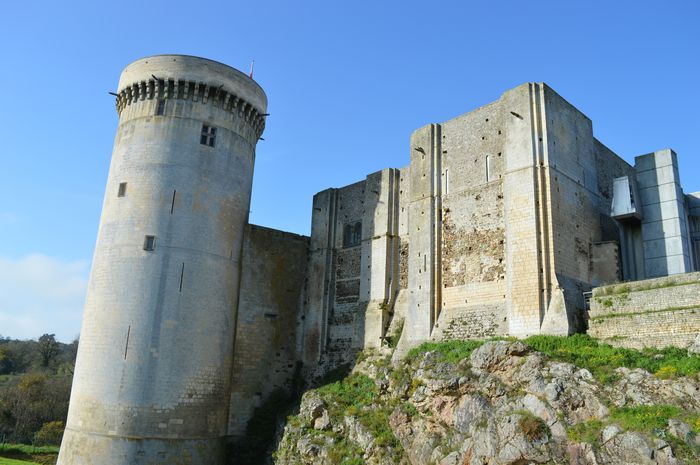 Démonstration : des invités spéciaux dans la basse-cour du château, Château Guillaume-le-Conquérant, Falaise
