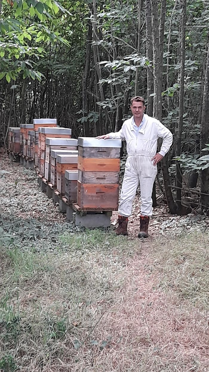 Des abeilles sur Sèvremoine, Sevremiel, Sèvremoine