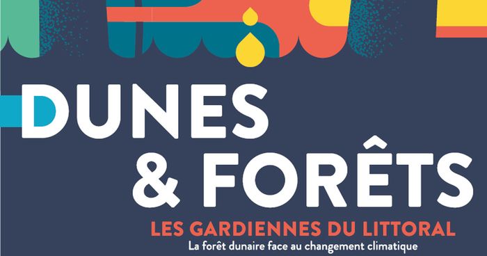 Dunes et forêts, Médiathèque Léopold Sédar Senghor, Carré des Jalles, Saint-Médard-en-Jalles
