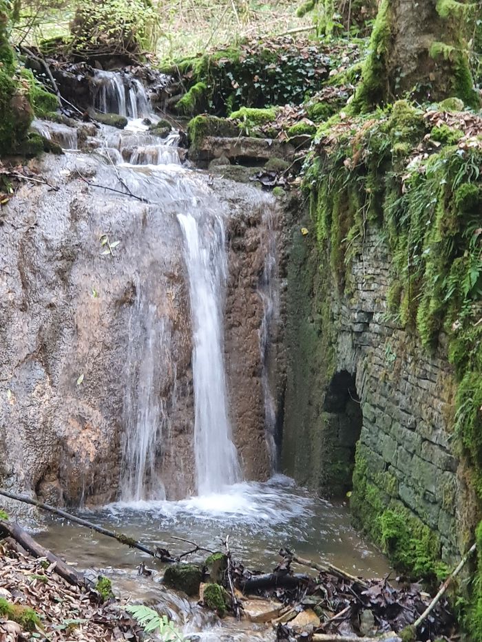 Eau et Moulins : tours et détours : visites de 2 anciens moulins, Chasnans, Les Premiers Sapins
