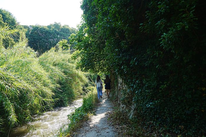 Écoutez voir la Touloubre, Pont Flavien, Saint-Chamas