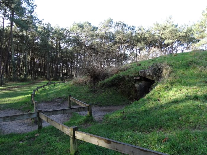 Enquête Mégalithique : Le trésor perdu de la Rivière d&rsquo;Auray, Tumulus de Kernours, Le Bono
