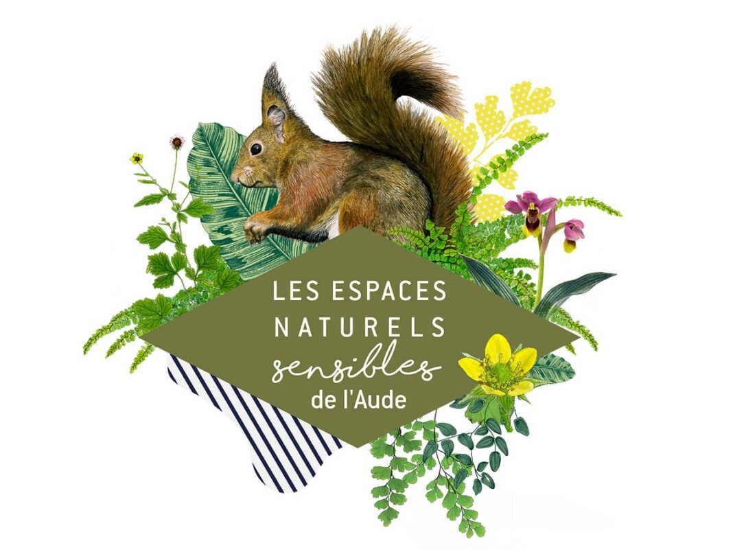 ENS DE L’OURS DU ROUSSILLON À L’OURS BRUN  Artigues