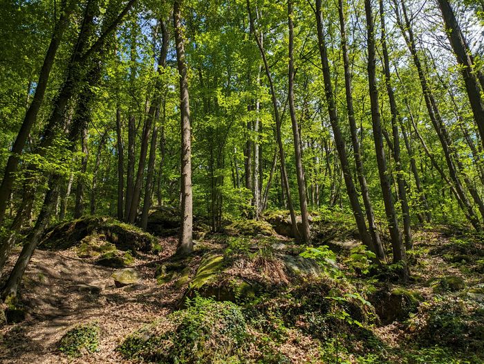 Entre contes, histoire et biodiversité : voyage au cœur d’un patrimoine naturel et humain, RDV au parking, Saint-Lambert