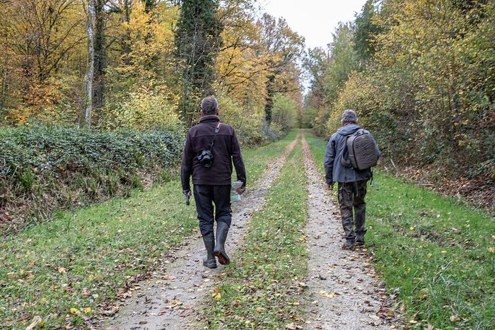 Escapades : Randonnée découverte dans la forêt du Der, Montier en Der, La Porte du Der