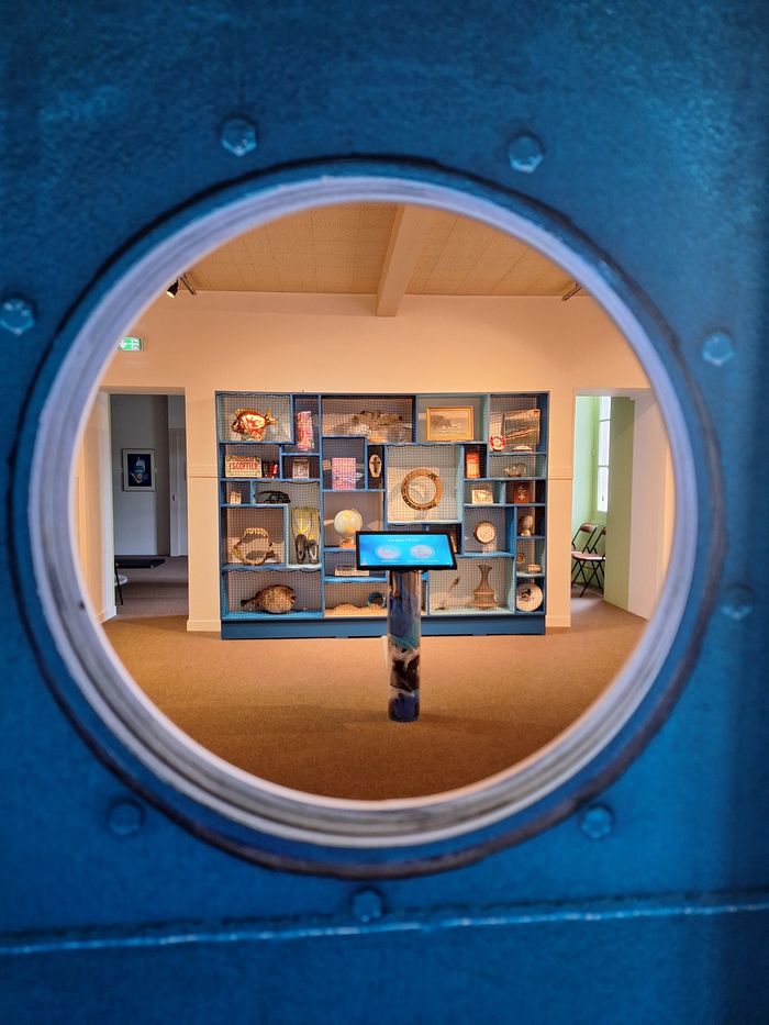 Explorations marines et fresque collaborative, Musée de la Poupée, Montbrison