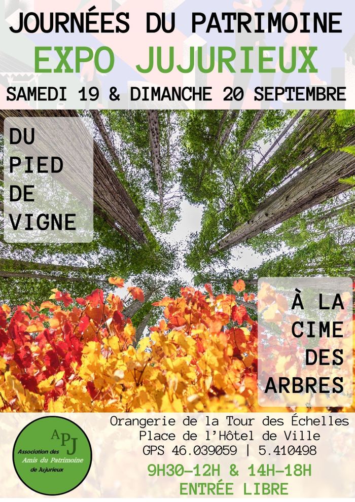 EXPO : Du pied de vigne à la cime des arbres, Château de la Tour-des-Échelles, Jujurieux