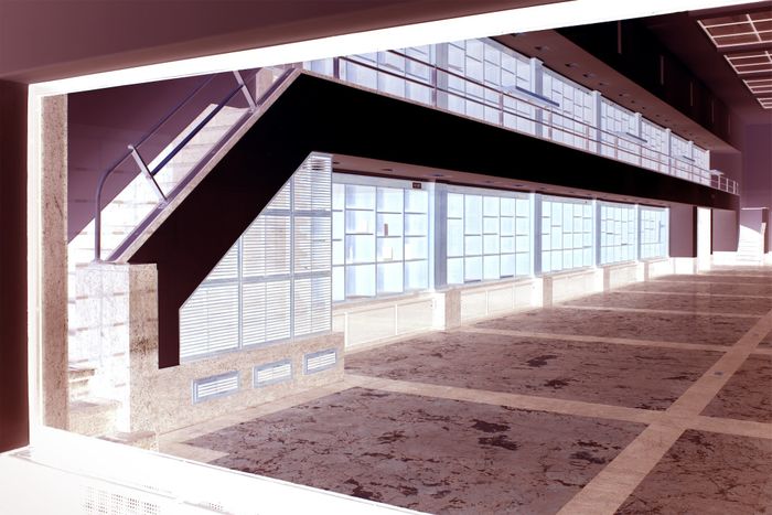 EXPOSITION : AGLAIA KONRAD, Espace 36, Saint-Omer