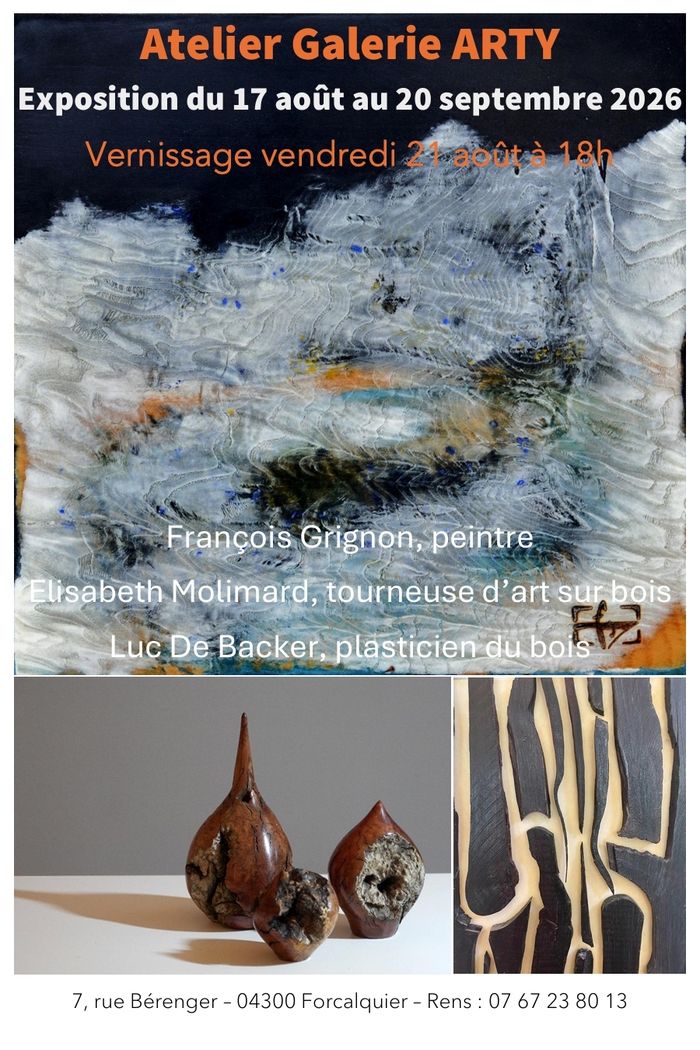 Exposition autour du matériau bois, 3 artistes, 3 univers, Atelier Galerie ARTY, Forcalquier