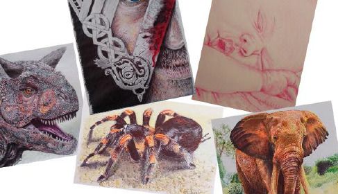 Exposition de l&rsquo;artiste « Caribounath », Mairie d&rsquo;Aniche, Aniche