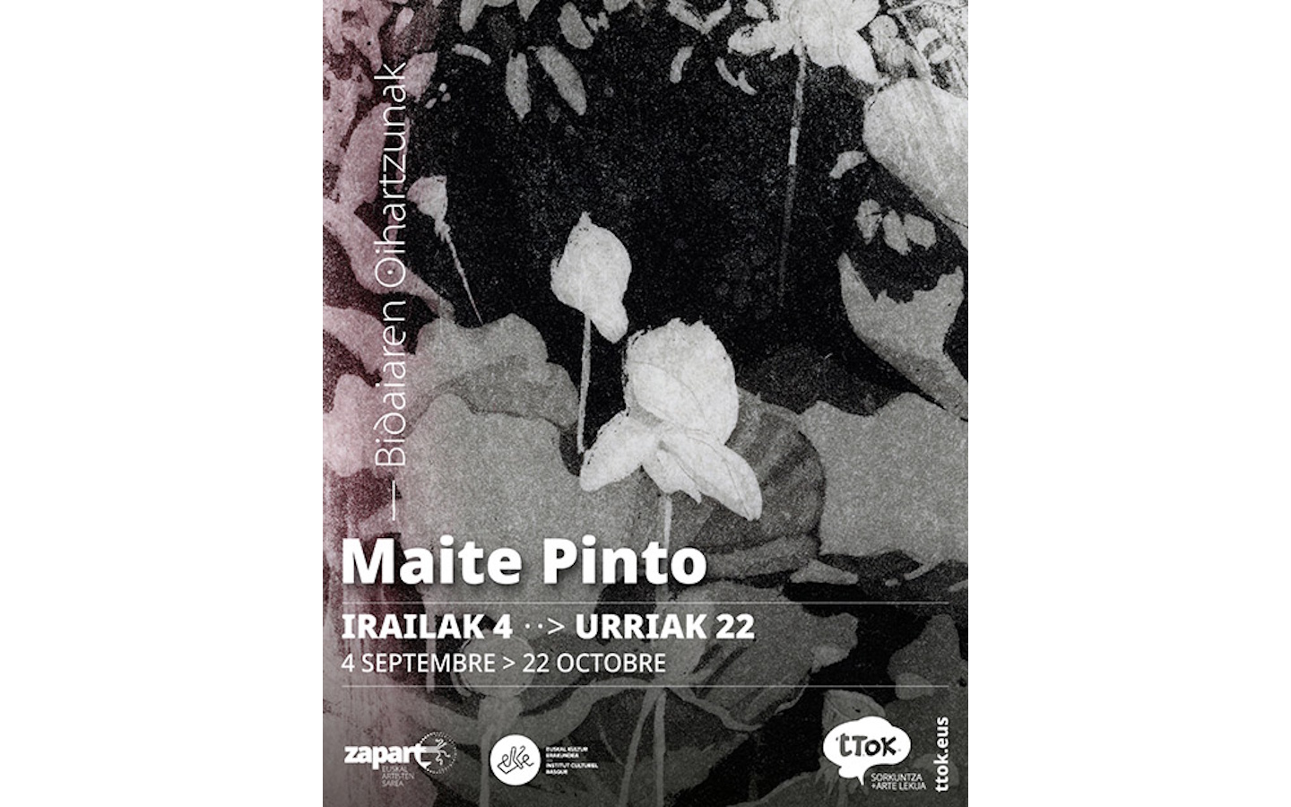 Exposition de Maité PINTO Bidaiaren oihartzunak Echos de voyage Joaniskobaita Ustaritz