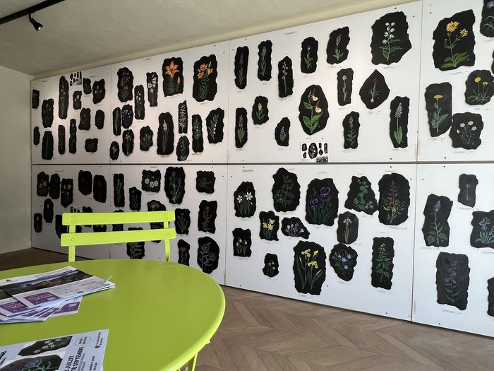 Exposition Fleurs des Alpes peintes sur ardoise, Salle des fêtes de Villette, Aime-la-Plagne