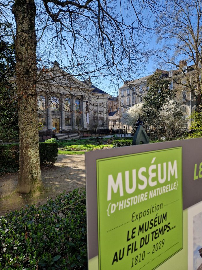Exposition Le Muséum au fil du temps Place de la Monnaie Nantes