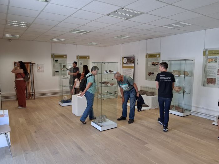 Exposition – Les Gaulois du Littoral., Centre archéologique du Var, Toulon