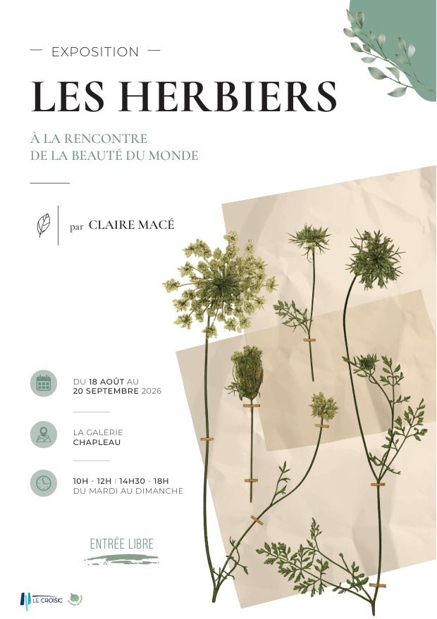 Exposition « Les herbiers : à la rencontre de la beauté du monde » par Claire Macé, Galerie Chapleau, 6 rue Jules Ferry, Le Croisic