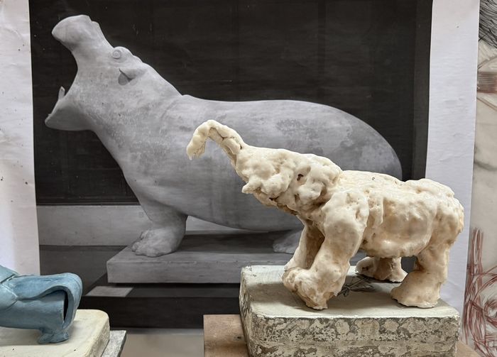 Exposition Patrice Alexandre en dialogue avec François Pompon, Bibliothèque centrale du Muséum national d’Histoire naturelle, Paris