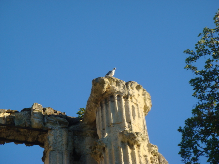 Exposition patrimoine et nature, Château des trois Reines (Château royal de Montceaux), Montceaux-lès-Meaux