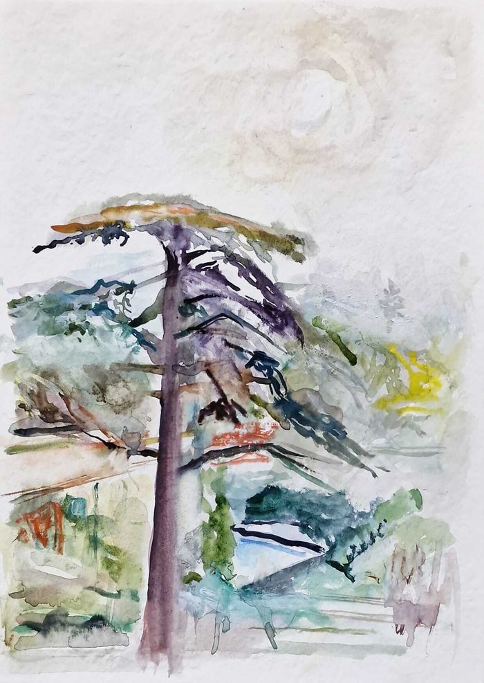 Exposition « Paysages » de Michel Steiner, Tour Philippe le Bel, Villeneuve-lès-Avignon