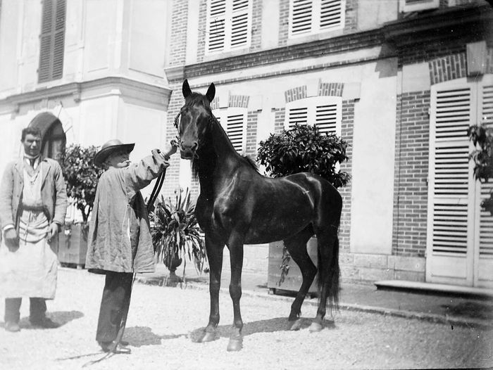 Exposition – Rosa bonheur et le cheval, Château de Chantilly, Chantilly