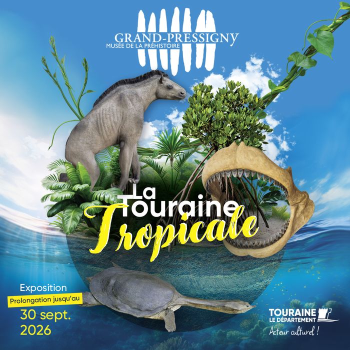 Exposition temporaire « La Touraine Tropicale, il y a 15 millions d’années vivaient des animaux extraordinaires », Musée de préhistoire, Le Grand-Pressigny