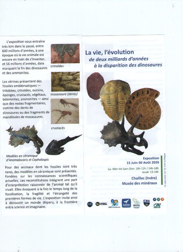 exposition temporaire, Musée de la mine et des minéraux de Chaillac, Chaillac