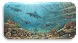 Fantastiques fossiles, Salle des associations, Saint-Ulphace