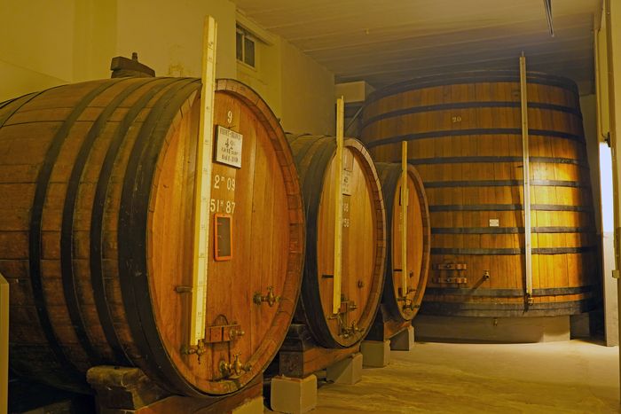 Fernet-Branca, les secrets des caves, Fondation Fernet-Branca, Saint-Louis