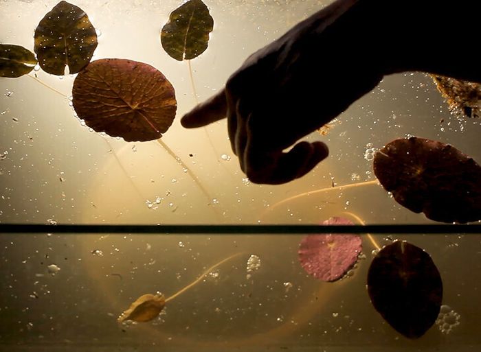 Festival Cinespaña : Yrupe, Médiathèque José Cabanis – Grand Auditorium (niveau -1), Toulouse