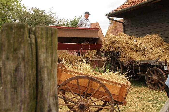 Fête de la paille et de la laine, Musée de la Vie Rurale à Steenwerck, Steenwerck