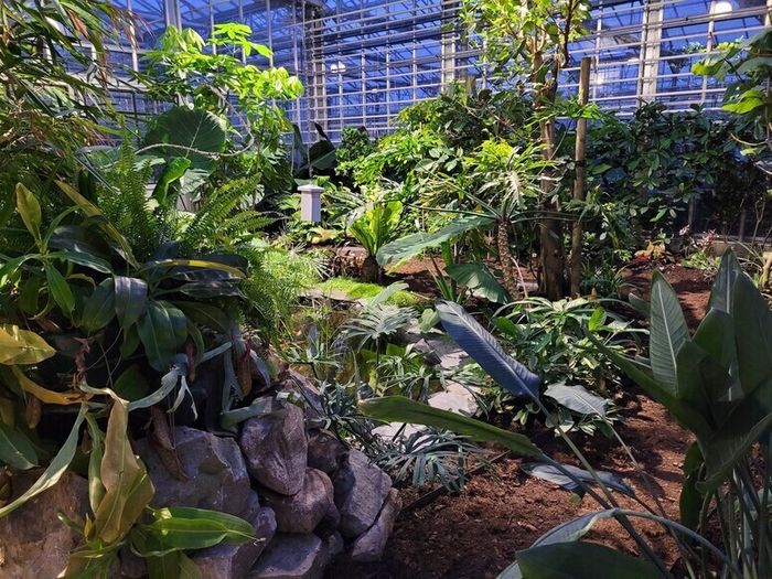 Fête de la science, Jardin des plantes, Lille