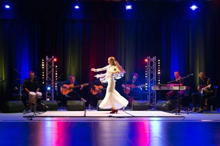 Flamenco Compagnie Iberica – Groupe Los de la noche, Bibliothèque municipale de Ronchin, Ronchin