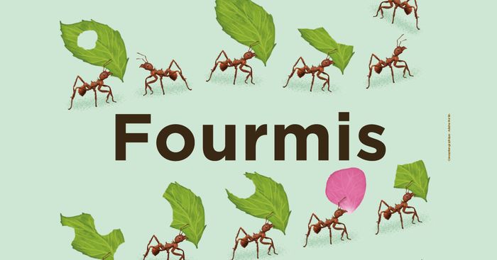 Fourmis, Espace des sciences – Salles d&rsquo;exposition, Rennes
